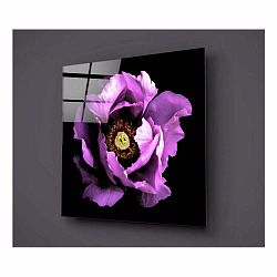 Čierno-fialový sklenený obraz Insigne Calipsa Purple, 30 × 30 cm