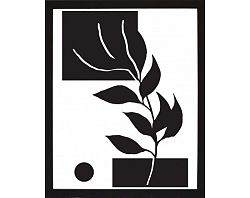 Rámovaný obraz Čiernobiela rastlinná abstrakcia IV, 24x30 cm%